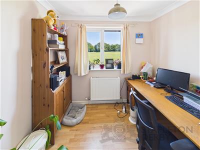 Picture 17